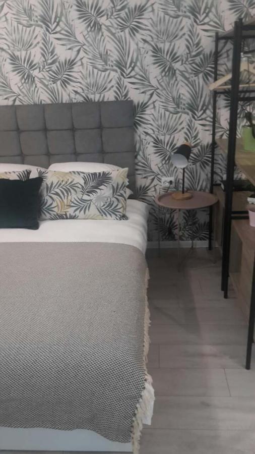 The Cozy Studio, Varna City Centre Eksteriør bilde